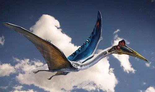 风神翼龙最新爆料视频,揭秘神秘生物的进化之谜 第1张 风神翼龙最新爆料视频,揭秘神秘生物的进化之谜 第1张