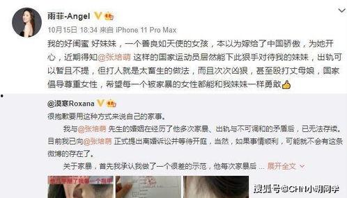 何小姐被爆料视频,真相与争议  第1张