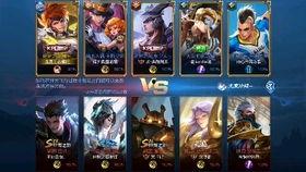 二舅王者爆料视频大全最新